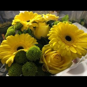 Meet your Posher, Sylvia